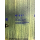 Board Wing Duotone Sky Style 4'11 - occasion 2025