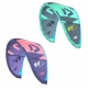 Duotone Evo  - Aile de kitesurf 2024